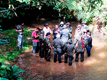 selva_extrema144.jpg