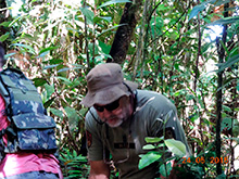 selva_extrema15.jpg