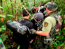selva_extrema153.jpg