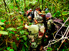 selva_extrema154.jpg
