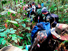 selva_extrema155.jpg