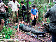 selva_extrema159.jpg