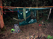 selva_extrema165.jpg
