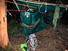 selva_extrema166.jpg