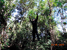 selva_extrema17.jpg
