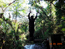 selva_extrema18.jpg