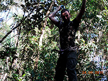 selva_extrema20.jpg