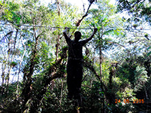 selva_extrema21.jpg
