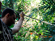 selva_extrema22.jpg