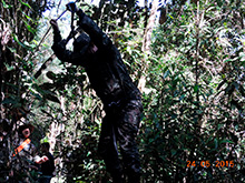 selva_extrema24.jpg