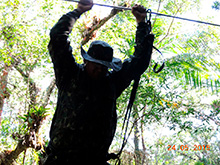 selva_extrema25.jpg