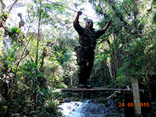 selva_extrema30.jpg