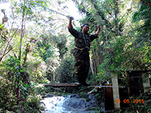 selva_extrema31.jpg