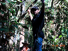 selva_extrema34.jpg