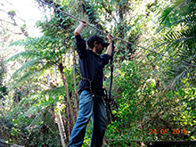selva_extrema35.jpg