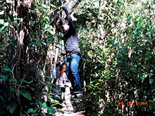 selva_extrema37.jpg