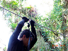 selva_extrema39.jpg