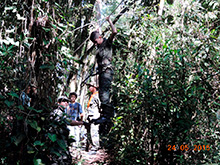 selva_extrema46.jpg