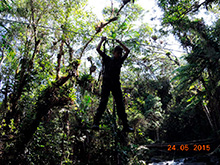 selva_extrema47.jpg