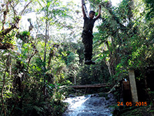 selva_extrema49.jpg