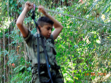 selva_extrema50.jpg