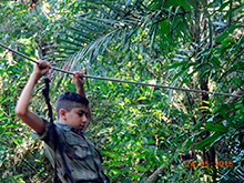 selva_extrema52.jpg