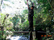 selva_extrema53.jpg