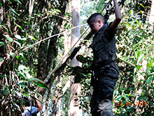 selva_extrema56.jpg