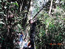 selva_extrema57.jpg
