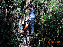 selva_extrema58.jpg