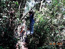 selva_extrema59.jpg