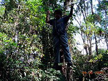 selva_extrema60.jpg