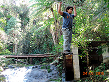 selva_extrema63.jpg