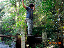 selva_extrema64.jpg