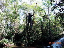 selva_extrema65.jpg