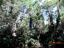 selva_extrema66.jpg
