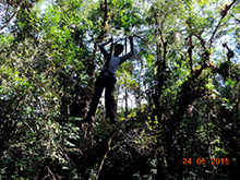 selva_extrema70.jpg