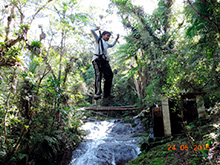 selva_extrema73.jpg