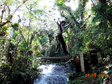 selva_extrema74.jpg