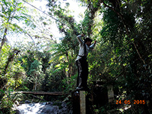 selva_extrema75.jpg