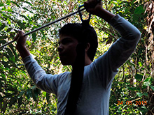 selva_extrema77.jpg
