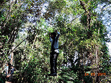 selva_extrema78.jpg