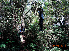 selva_extrema79.jpg