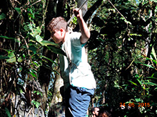 selva_extrema80.jpg