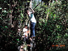 selva_extrema81.jpg
