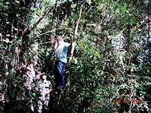 selva_extrema82.jpg