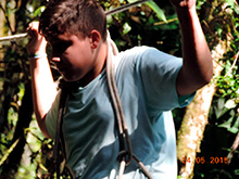 selva_extrema83.jpg