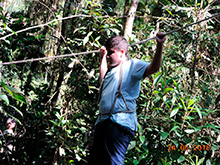 selva_extrema84.jpg