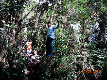 selva_extrema85.jpg