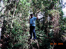 selva_extrema87.jpg